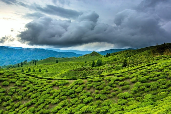 Assam Meghalay - The Traveling Spirit Tours & Travels - travelingspirit.in